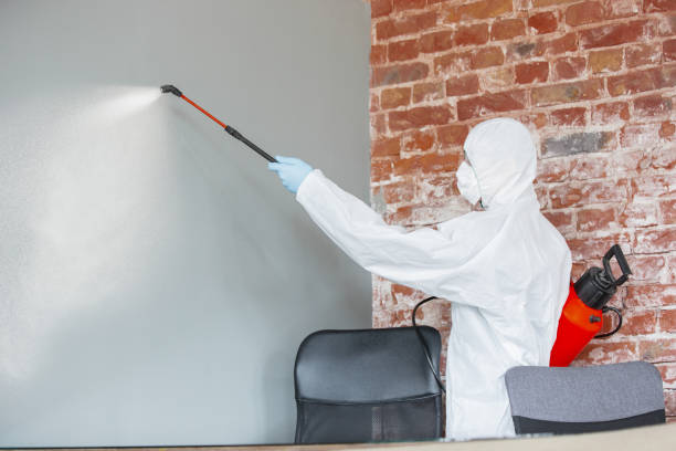 Best Commercial Mold Inspection  in Guerneville, CA